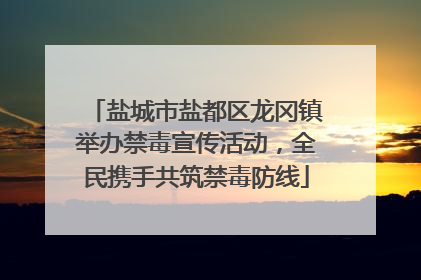 盐城市盐都区龙冈镇举办禁毒宣传活动，全民携手共筑禁毒防线