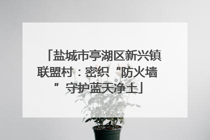 盐城市亭湖区新兴镇联盟村：密织“防火墙”守护蓝天净土