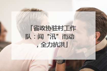 省政协驻村工作队：闻“汛”而动，全力抗洪