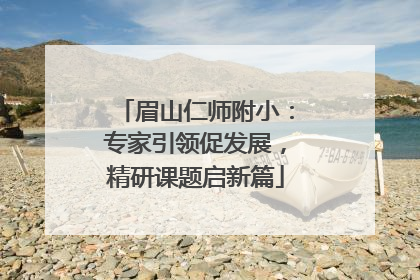 眉山仁师附小：专家引领促发展，精研课题启新篇