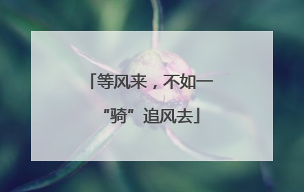 等风来，不如一“骑”追风去