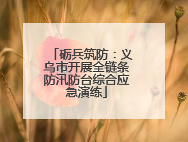 砺兵筑防：义乌市开展全链条防汛防台综合应急演练