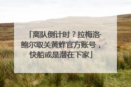 离队倒计时？拉梅洛·鲍尔取关黄蜂官方账号，快船或是潜在下家