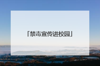 禁毒宣传进校园