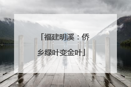 福建明溪：侨乡绿叶变金叶