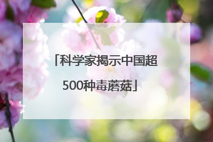 科学家揭示中国超500种毒蘑菇
