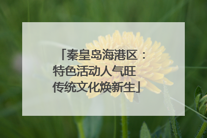 秦皇岛海港区：特色活动人气旺 传统文化焕新生