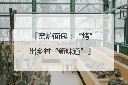 窑炉面包：“烤”出乡村“新味道”
