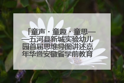 童声・童趣・童思——五河县新城实验幼儿园首届思维导图讲述嘉年华暨安徽省学前教育教研基地园项目阶段性成果展示活动