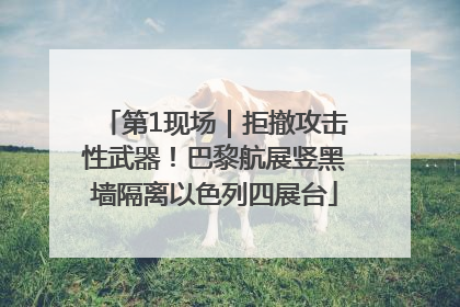 第1现场｜拒撤攻击性武器！巴黎航展竖黑墙隔离以色列四展台