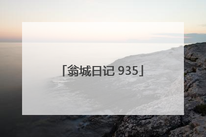 翁城日记 935