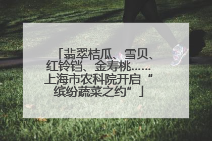 翡翠桔瓜、雪贝、红铃铛、金寿桃……上海市农科院开启“缤纷蔬菜之约”
