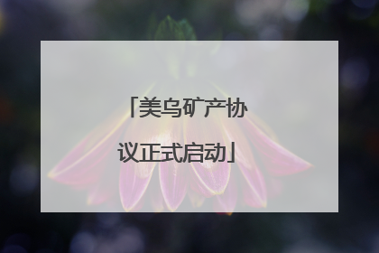 美乌矿产协议正式启动