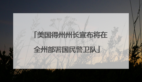 美国得州州长宣布将在全州部署国民警卫队