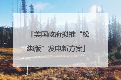美国政府拟推“松绑版”发电新方案
