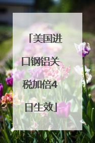 美国进口钢铝关税加倍4日生效