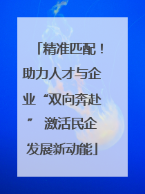 精准匹配！助力人才与企业“双向奔赴” 激活民企发展新动能