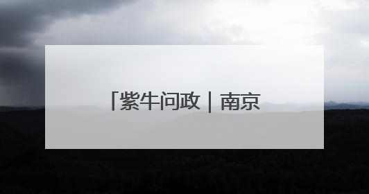 紫牛问政｜南京的这条路缘何留了200米不种树