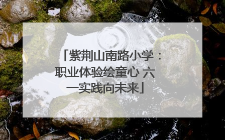 紫荆山南路小学：职业体验绘童心 六一实践向未来