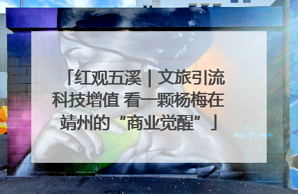 红观五溪｜文旅引流 科技增值 看一颗杨梅在靖州的“商业觉醒”