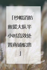 纱帽消防救援大队半小时高效处置商铺蛇患