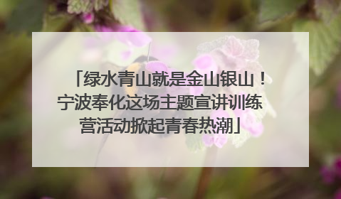绿水青山就是金山银山！宁波奉化这场主题宣讲训练营活动掀起青春热潮