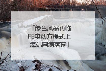绿色风暴再临 FE电动方程式上海站圆满落幕
