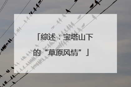 综述：宝塔山下的“草原风情”