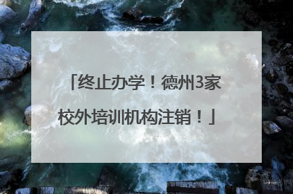 终止办学！德州3家校外培训机构注销！