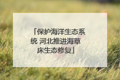 保护海洋生态系统 河北推进海草床生态修复