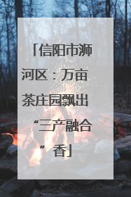 信阳市浉河区：万亩茶庄园飘出“三产融合”香
