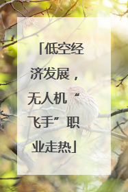 低空经济发展，无人机“飞手”职业走热