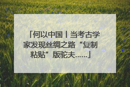 何以中国丨当考古学家发现丝绸之路“复制粘贴”版驼夫……