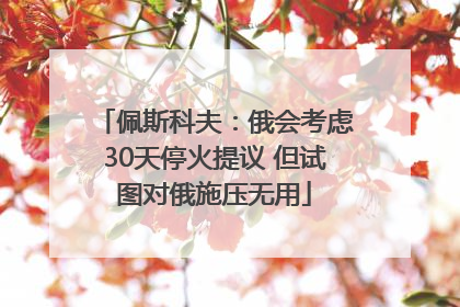 佩斯科夫：俄会考虑30天停火提议 但试图对俄施压无用