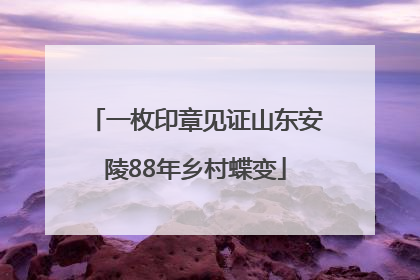 一枚印章见证山东安陵88年乡村蝶变