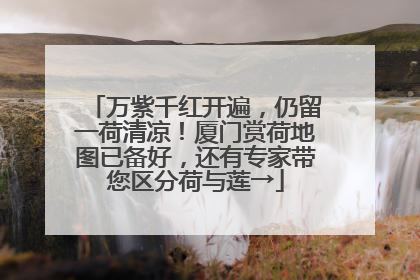 万紫千红开遍，仍留一荷清凉！厦门赏荷地图已备好，还有专家带您区分荷与莲→