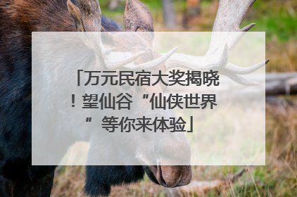 万元民宿大奖揭晓！望仙谷“仙侠世界”等你来体验