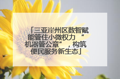三亚崖州区数智赋能管住小微权力 “机器管公章”，构筑便民服务新生态