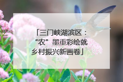 三门峡湖滨区：“农”墨重彩绘就乡村振兴新画卷