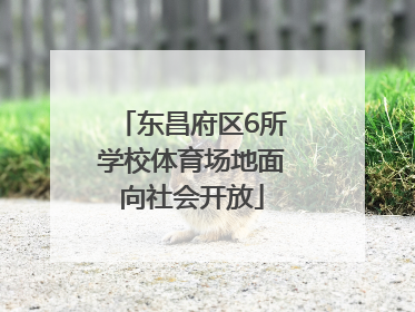 东昌府区6所学校体育场地面向社会开放