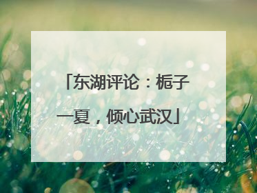 东湖评论：栀子一夏，倾心武汉