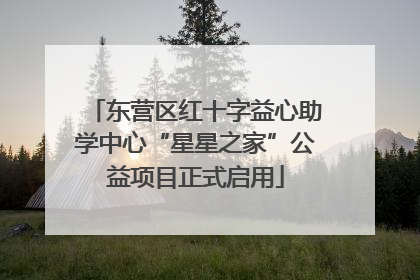 东营区红十字益心助学中心“星星之家”公益项目正式启用
