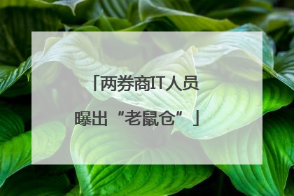 两券商IT人员曝出“老鼠仓”