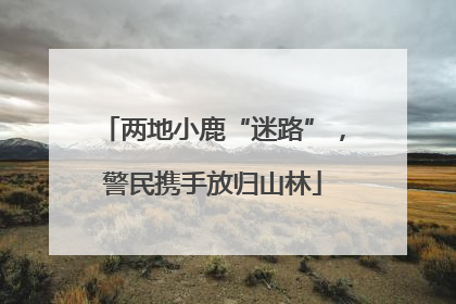 两地小鹿“迷路”，警民携手放归山林
