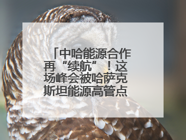 中哈能源合作再“续航”！这场峰会被哈萨克斯坦能源高管点赞“加油”