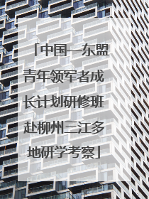 中国—东盟青年领军者成长计划研修班赴柳州三江多地研学考察