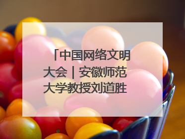 中国网络文明大会｜安徽师范大学教授刘道胜：“E”览徽风，构筑中华民族共有精神家园