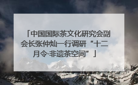 中国国际茶文化研究会副会长张仲灿一行调研“十二月令·非遗茶空间”