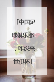 中国足球俱乐部，咋没来世俱杯