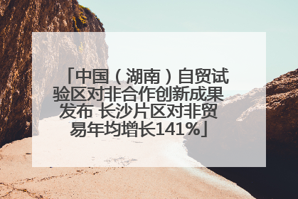 中国（湖南）自贸试验区对非合作创新成果发布 长沙片区对非贸易年均增长141%